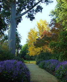 Albury Botanic Garden - Accommodation BNB 0