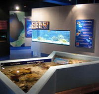 Marine and Freshwater Discovery Centre - Accommodation BNB