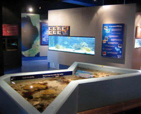 Marine And Freshwater Discovery Centre - Accommodation BNB 0