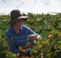 Kingsdale Wines - Accommodation BNB