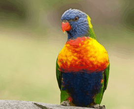 Booderee National Park - Accommodation BNB 1