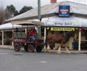 Bathurst Farm Experience - Accommodation BNB 0