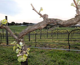 Drysdale VIC Accommodation BNB