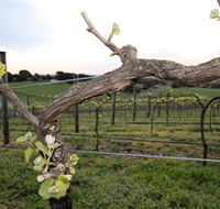 Nalbra Estate Wines - Accommodation BNB