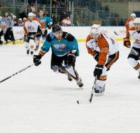 Medibank Icehouse - Accommodation BNB