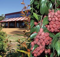Bushfood Factory and Cafe - Accommodation BNB