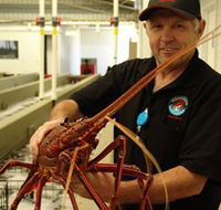 Lobster Shack - Accommodation BNB