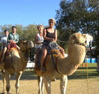 Calamunnda Camel Farm - Accommodation BNB