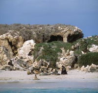 Jurien Bay Marine Park - Accommodation BNB