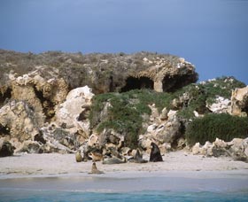 Jurien Bay Marine Park - Accommodation BNB 0