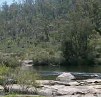 Wellington Discovery Forest - Accommodation BNB