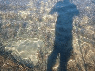 Jervis Bay Stand Up Paddle - thumb 3