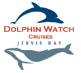 Dolphin Watch Cruises - Accommodation BNB 2