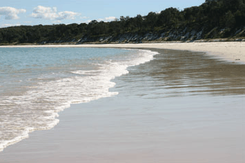 Dolphin Watch Cruises - Accommodation BNB 5