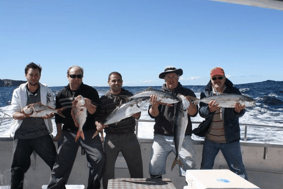 Jervis Bay Fishing And Charters - Accommodation BNB 2