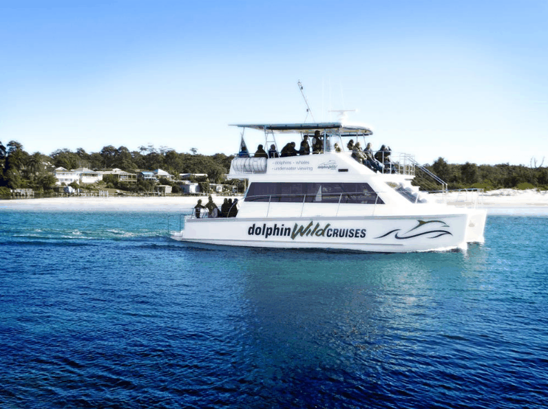 Dolphin Wild Cruises - Accommodation BNB 1
