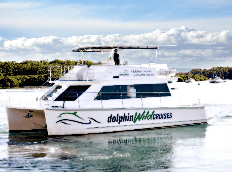 Dolphin Wild Cruises - Accommodation BNB 2