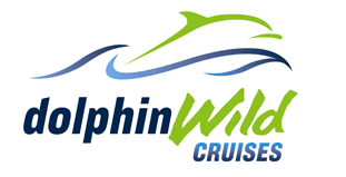 Dolphin Wild Cruises - Accommodation BNB 4