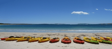 Jervis Bay Kayak & Paddlesports - thumb 5