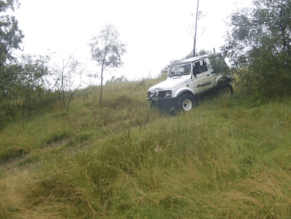 Scenic Rim Adventure Park - Accommodation BNB 1