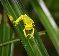 Daintree River Cruise Centre - Accommodation BNB