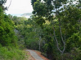 The Airlie Creek Track - Accommodation BNB 1