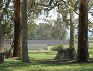 Aloomba Lavender - Accommodation BNB 0