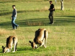 Southern Queensland Country QLD Accommodation BNB