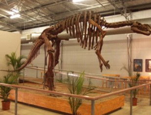 Australia's Dinosaur Trail - Accommodation BNB 0