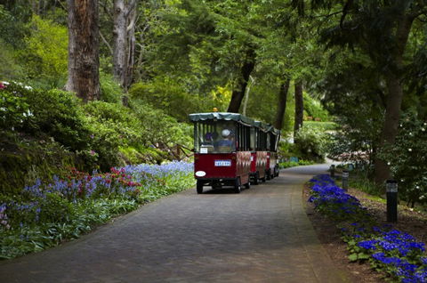 Araluen Botanic Park - Accommodation BNB 0
