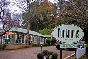 Ferny Creek VIC Accommodation BNB