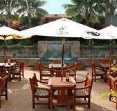 Mona Vale Hotel - Accommodation BNB