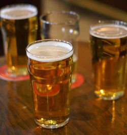 Argy Bargy - Accommodation BNB 3