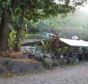 Ellis Beach Bar  Grill - Accommodation BNB