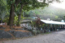 Ellis Beach Bar & Grill - Accommodation BNB 0