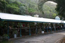 Ellis Beach Bar & Grill - Accommodation BNB 1