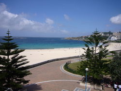 Aquarium - Accommodation BNB 2