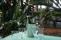 Ellis Beach Bar & Grill - Accommodation BNB 3