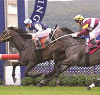 Gosford Race Club - Accommodation BNB