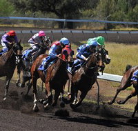 Alice Springs Turf Club - Accommodation BNB