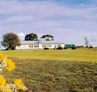 Lucindale Country Club - Accommodation BNB