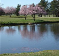 RMC Golf Club - Accommodation BNB