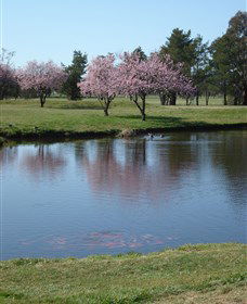 RMC Golf Club - Accommodation BNB 0