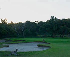 Anglesea Golf Club - Accommodation BNB 8