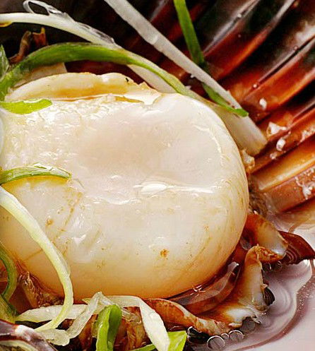 Golden Century Seafood Restaurant - Accommodation BNB 2