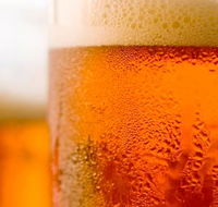 Coledale Fine Wines - Accommodation BNB