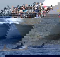 MoonshadowTQC Cruises - Accommodation BNB