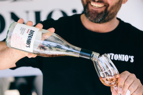 Antonio's Wine Tasting - Accommodation BNB 0