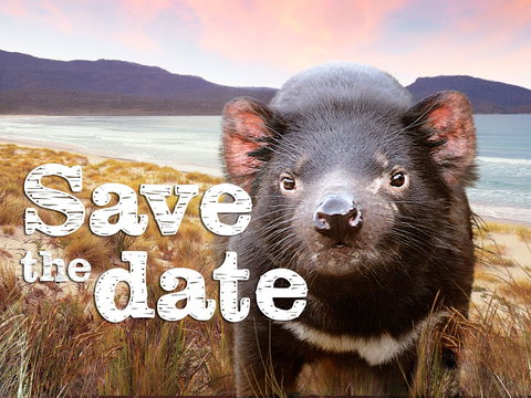 Art Group Longford - Accommodation BNB 0