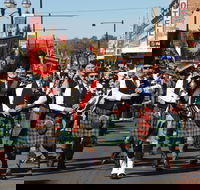 Australian Celtic Festival - Accommodation BNB